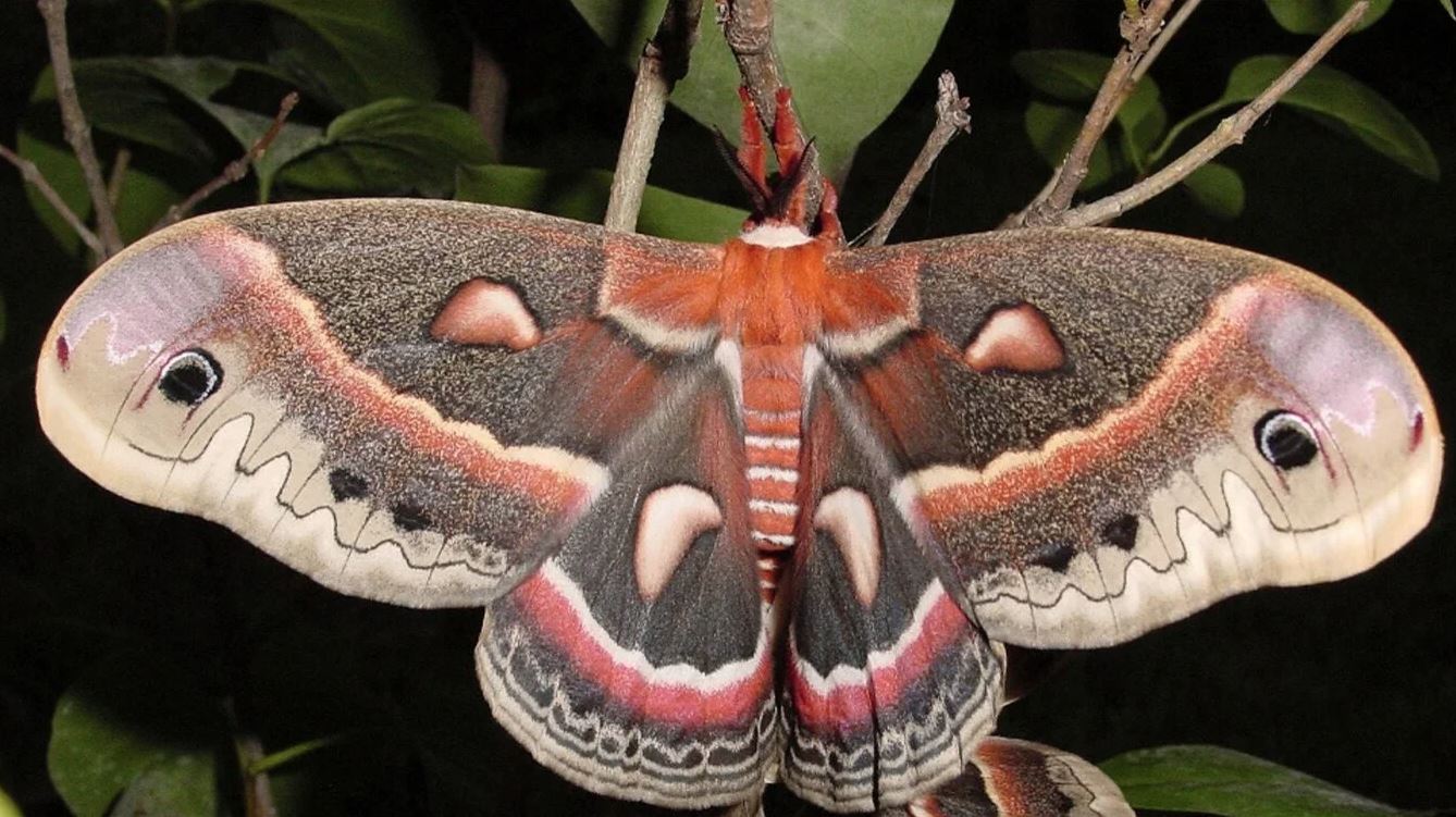 Writing field notes under a warm night lamp