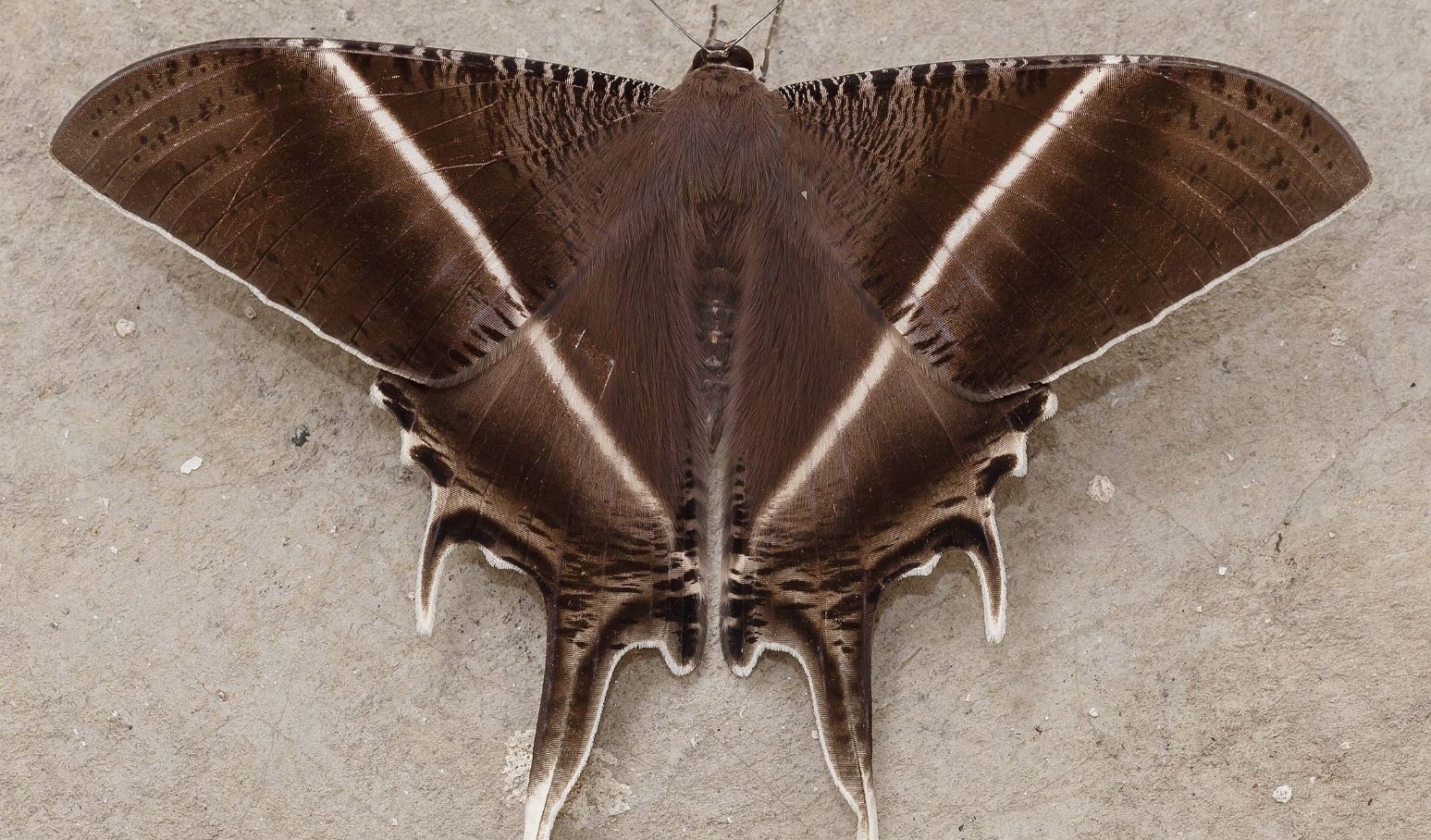 Methodology Hero Image